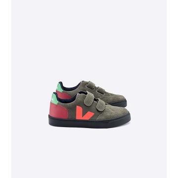 Veja V-12 SUEDE Kids' Sneakers Olive | NZ 871MQZ